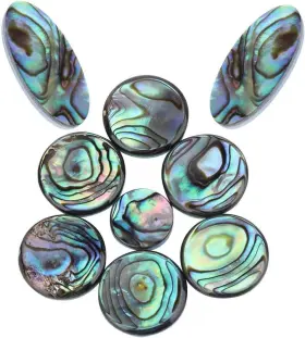 Liebewhwk8vct9sxm2566 Liebewh 9pcs Sax Abalone Shell Key Buttons Saxophone Inlays Button Musical