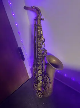 P. Mauriat 847709000036 System 76 Professional Alto Saxophone Un-lacquered