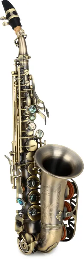 P. Mauriat 847709005031 System 76 Curved Soprano Saxophone - Dark Finish P. Mauriat 847709005031 System 76 Curved Soprano Saxophone - Dark Finish