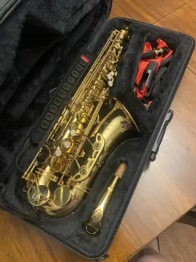 Pmsa-185 P. Mauriat 185 Alto Saxophone - Gold Lacquer