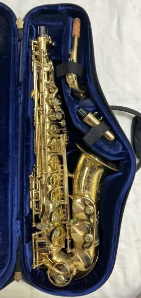 Mvp027578 P Mauriat Pmsa-202 P. Alto Saxophone