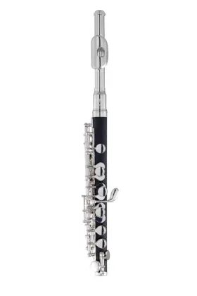 Ppc111 Prelude By Selmer 641064784576 Student Piccolo Outfit