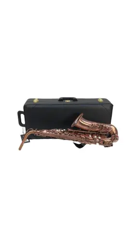 Oas-450 Prince Eb Professional Alto Saxophone