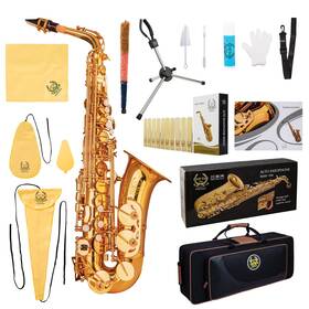 Rhythm 766429362258 Eb Alto Saxophone With Carrying Sax Case Full Set Cleaning And Care Kit F