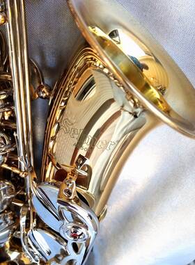 Selmer 26106/ak105 As500 Alto Sax With Nice Case And Rico Royal W5 Mpc. - Great Condition