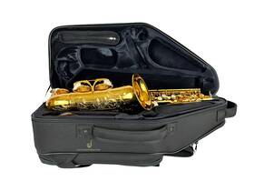 Selmer 648023120857 Paris Supreme 92dl Alto Saxophone Blow Out Deal