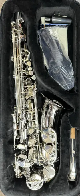 As42b Selmer Professional Alto Saxophone - Black Nickel Finish