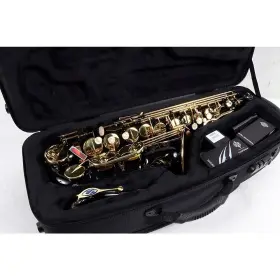 1978810309 Selmer Paris 197881020309 Series Ii Model 52 Jubilee Ed Alto Sax 52jbl Blk Lcqr Ob