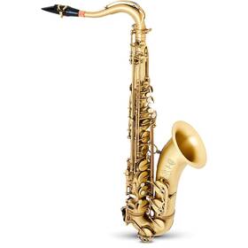 Selmer Paris 197881020583 Reference 54 Tenor Saxophone Ob