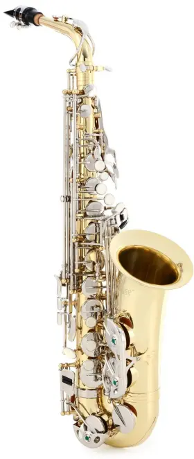 Sas201 Selmer Student Alto Saxophone - Lacquer