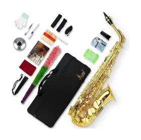 Wss948 Slade Saxophone Eb Alto For Beginner Students Saxaphone Adult Sax