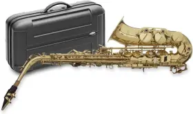 77-sa Stagg 882030130205 Alto Saxophone