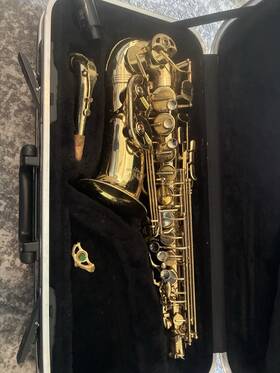Stephanhouser Zas500-lq Alto Saxophone With Hard Case Complete