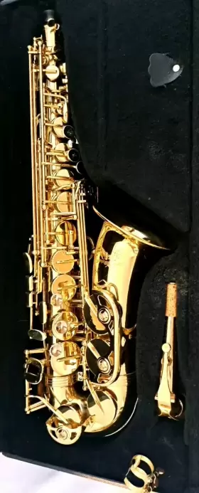 Zas600-lq Stephanhouser Alto Saxophone With Carry Case Nice Condition
