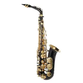 Uqr9609791876429cb Summina Eb Alto Saxophone Brass Lacquered Gold E Flat Sax 82z Key Type Woodwind