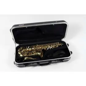 Theo Wanne 197881269937 Shakti Professional Alto Saxophone Dark Gold Lacquer Ob