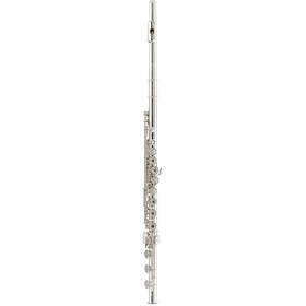 Tomasi Tfl-10s-goblist Series Tfl-10s-gob 10s Flute - Gold Silver