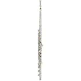Tfl-10s-goblist Tomasi Series Tfl-10s-gob 10s Flute - Gold Silver