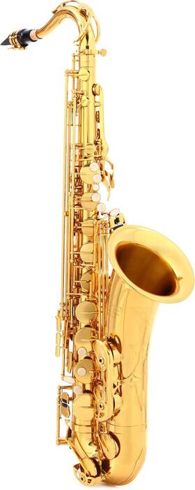 Victory Musical Instruments G2-ttgl Triumph Series Student Tenor Saxophone - Gold