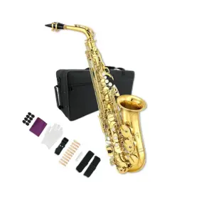 Guanyue024 Wuqimusc Alto Saxophone Beginner Kit For Adults Student Eb Profession