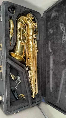 W010 Yanagisawa Awo1 Professional Alto Saxophone - Gold Lacquer