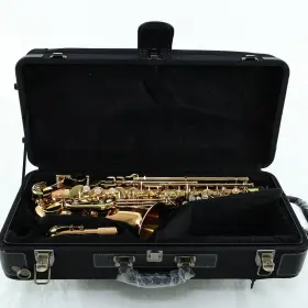 00413938 Yanagisawa Awo2 Model Bronze Professional Alto Saxophone Sn Superb