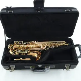 413394 Yanagisawa Awo20 Model Fteliteft Alto Saxophone In Bronze Sn Mint Condition