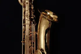 B-wo1 Yanagisawa New 2025 Bwo1 Baritone Saxophone