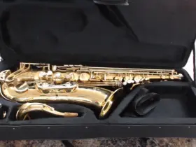 Asa063602 Yanagisawa T-902