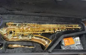 T-wo1 Yanagisawa Professional