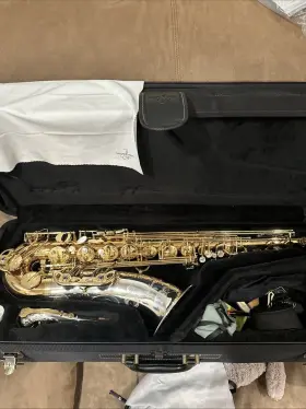 Two32 Yanagisawa Two2 Professional Bronze/silver Tenor Sax