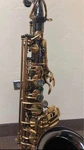 Cannonball Sceptyr, Alto Saxophone, Black Finish W/ Gold Keys, Great Condition Used. Price: $1650.00.