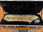 Eastman EBS453 Baritone Saxophone - New In Box. Price: $5538.40.