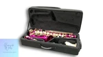 Soleil Alto Saxophone SAL-1/PS Model Used. Price: $543.82.