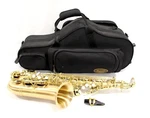 P. Mauriat Model Alto Saxophone Kit - LEBRAVO200A Gold Lacquer Used. Price: $1709.95.