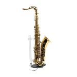 Antigua Winds Model TS4248LQ 'powerbell' Tenor Saxophone Lacquer Sn MST10000 Open. Price: $1799.00.