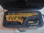 Accent Model AS710L Alto Saxophone With Original Case Euc Used. Price: $250.00.