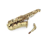 Allora AAS550 Paris Series Alto Saxophone Lacquer 197881421274 Ob Used. Price: $1574.25.