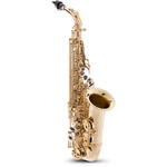 P. Mauriat PMSA-57GC Intermediate Alto Saxophone Beginner Package New. Price: $2379.00.
