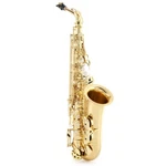 Selmer Paris Professional Alto Saxophone New. Price: $5158.99.