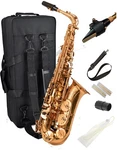 Herche Superior X3 Alto Saxophone New. Price: $629.00.