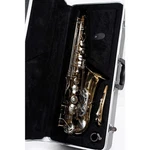 Giardinelli GAS-300 Alto Saxophone 197881019990 Used. Price: $996.98.