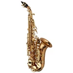 Yanagisawa SCWO20 Elite Curved Soprano Saxophone Bronze Lacquered New. Price: $9802.99.
