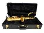 Yanagisawa Alto Saxophone AWO10 Used. Price: $3499.00.