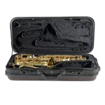 Accent AS710L Alto Student/beginner Lacquered Yellow Brass Body Saxophone Used. Price: $272.99.