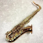 Yanagisawa T-WO2 (TWO2) Bronze Tenor Saxophone Genuine New. Price: $3800.00.