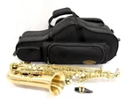 :) P. Mauriat Model Alto Saxophone Kit - LEBRAVO200A Gold Lacquer New. Price: $1290.99.