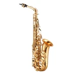 Alto Saxophone, Flat, Brass Beginner Kit With Carrying Case, Mouthpi New. Price: $337.37.