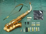 Unison (taiwan) Alto Saxophone AS300IIBGX Limited Model Phoenix Oj Custom Good Used. Price: $1564.47.