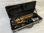 Professional Black Gold Alto Saxophone Brand New. Price: $251.90.